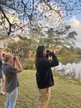 And some fun coffee break birding...