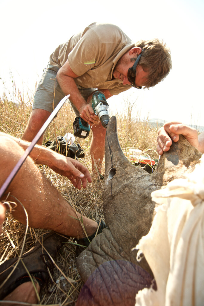 Fitting a tracking unit to a Rhino for security.