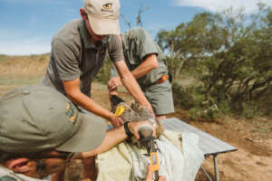 Fitting a satellite tracking unit.