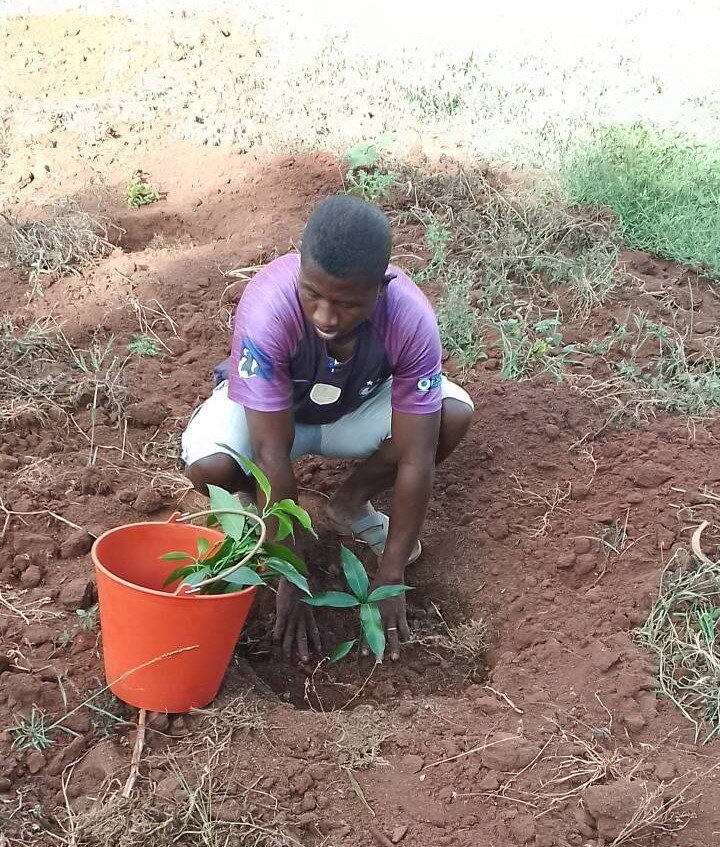 Planting 1000 Fruit-Bearing Trees for Tsaranoro