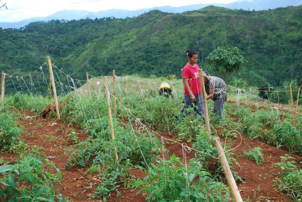 Ecological Sanitation and Food Security Project