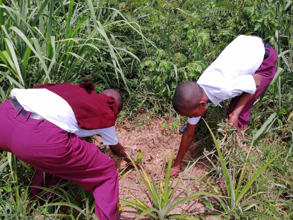 Access Food For 2000 students at Kiwangwa Ward.