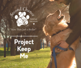 Project Keep Me keeps pets close during hard times