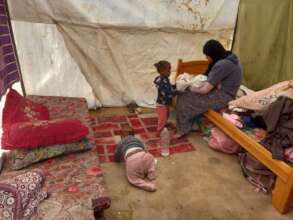 a family in GAZA, IBC Shelter tent
