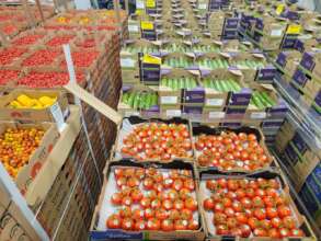 Rescued fresh produce