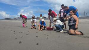 Releasing juveniles