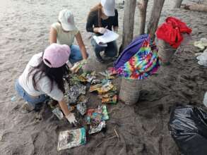 beach cleanup