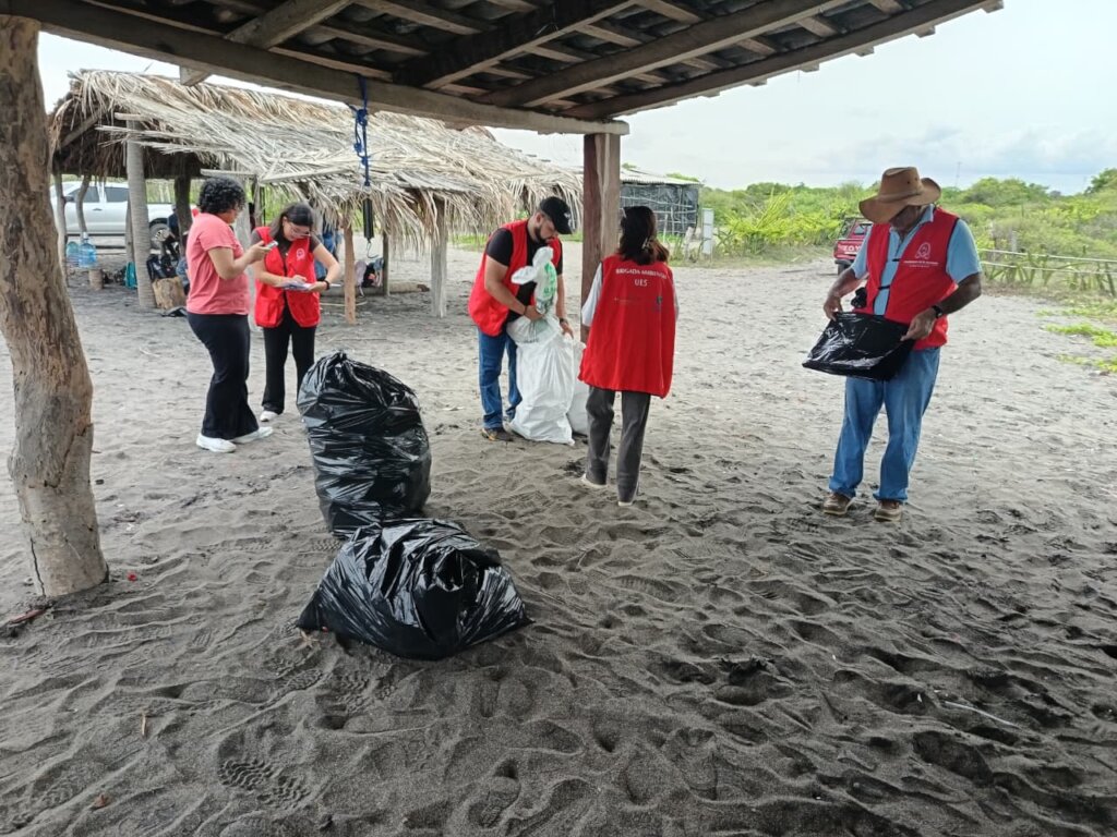beach cleanup