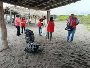 beach cleanup