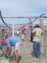 building hatchery