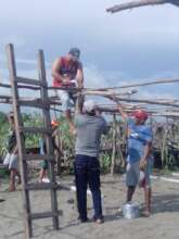 building hatchery
