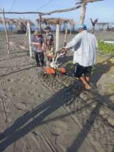 Building hatchery