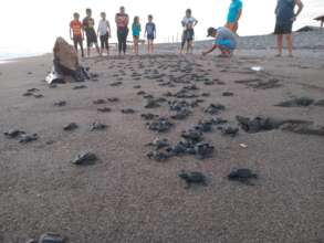Releasing