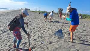 Beach cleanup