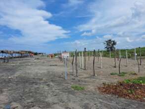 Area of hatchery