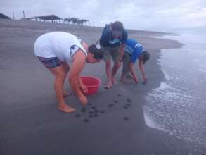 releasing babies