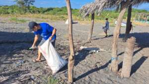 Beach cleanups