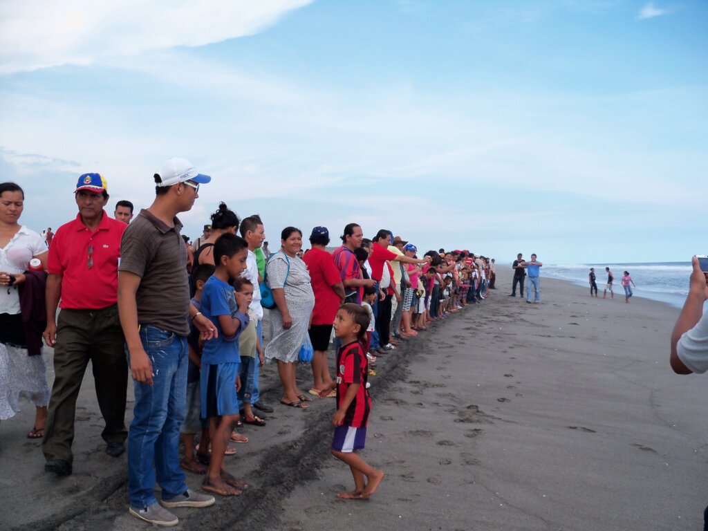 Support Sea Turtle Conservation in El Salvador