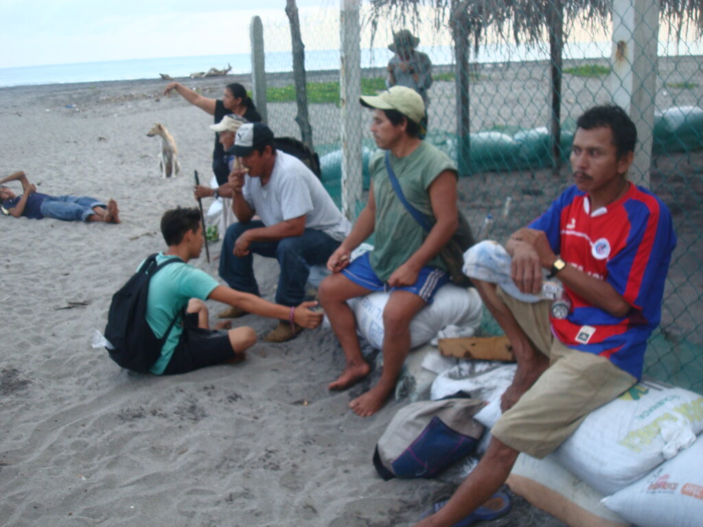Support Sea Turtle Conservation in El Salvador