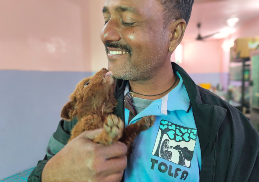Bunty receiving some puppy love in our HDU