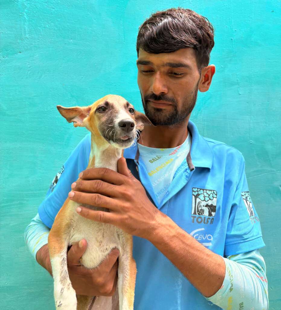 Munna has been cared for in our HDU