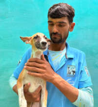 Munna has been cared for in our HDU