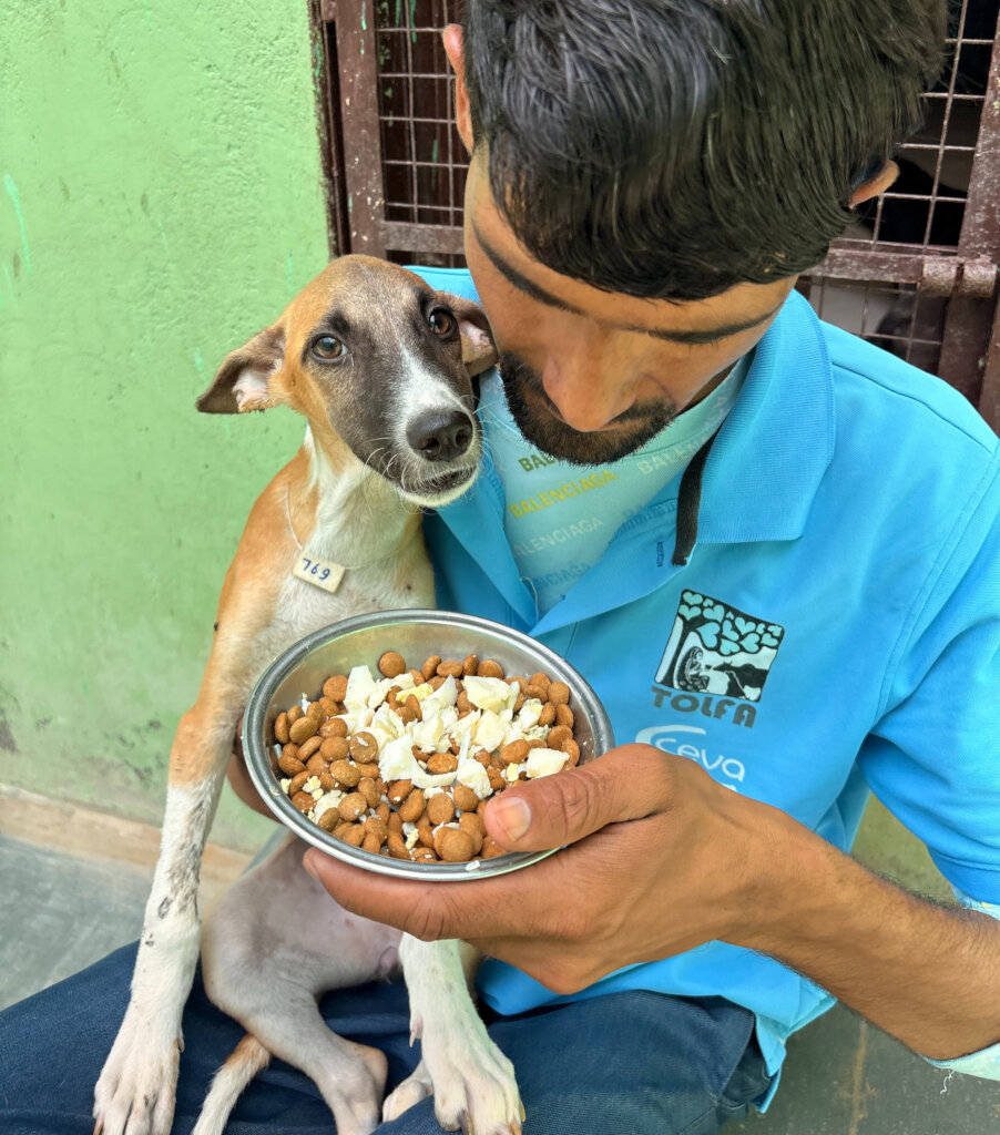 Munna now able to eat and feeling much better
