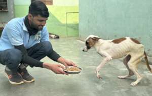 Poppy is learning to love life again at TOLFA