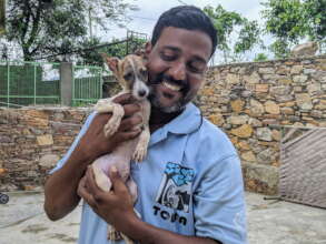 We love helping the little ones heal & recover