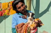High Dependency Unit For Vulnerable Sick Animals