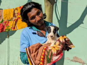 High Dependency Unit For Vulnerable Sick Animals