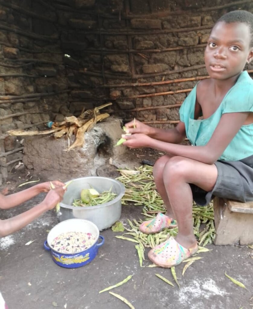 Climate-Resilient Bean Seeds for Food Security