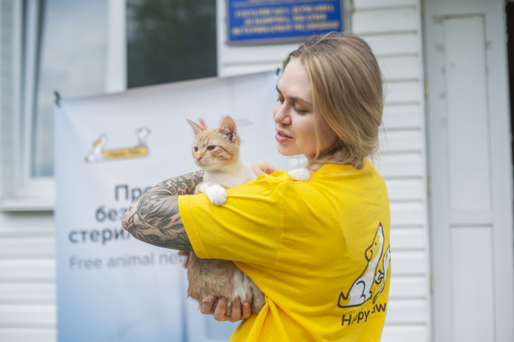 Help us sterilize stray animals in Ukraine!