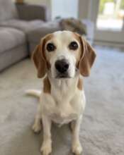 Bart - first day of Freedom.