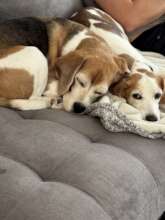 Bart and First Friend.