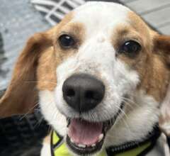 Delilah - Exodus Rescue