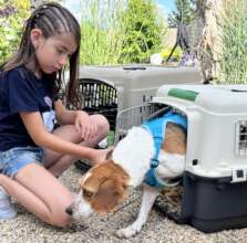 Donny on Release Day