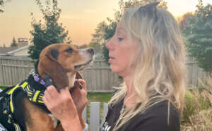 Draco Rescue Release Event