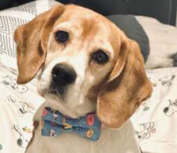 Ducky dressed up after the lab