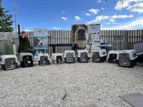 Good Trouble in Canada Release Day