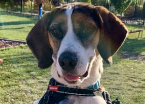 Jake - Exodus Rescue