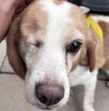 Jane - Wild West Rescue