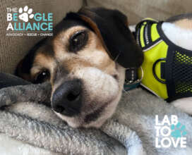 Joy Enjoys life because of you!