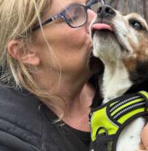 Joy - Dreams Come True Rescue