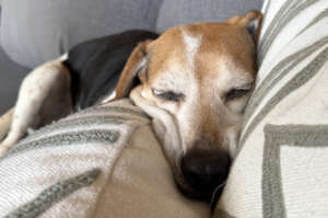 Are you lookin' at me?