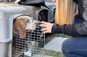 Kelowna, British Columbia, Canada