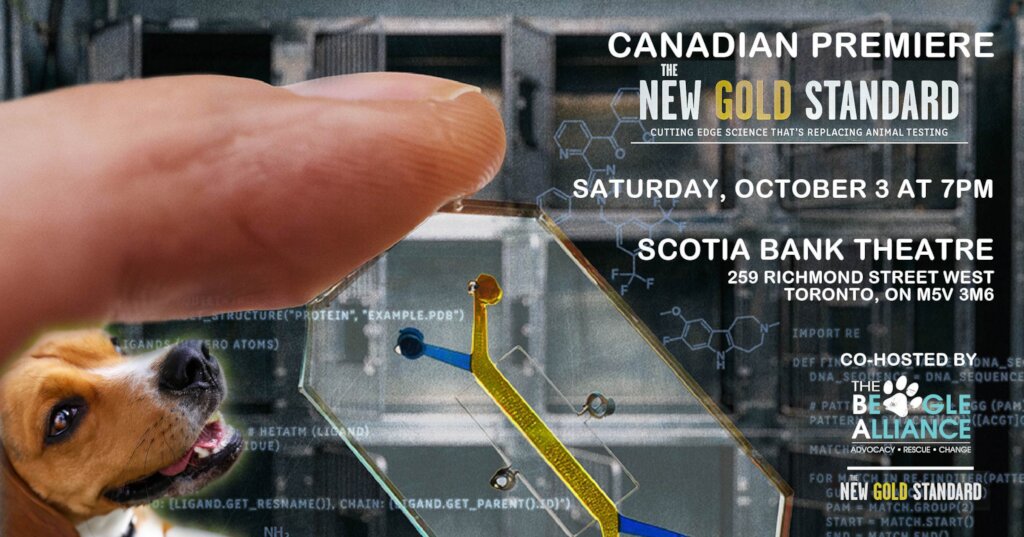 The New Gold Standard
