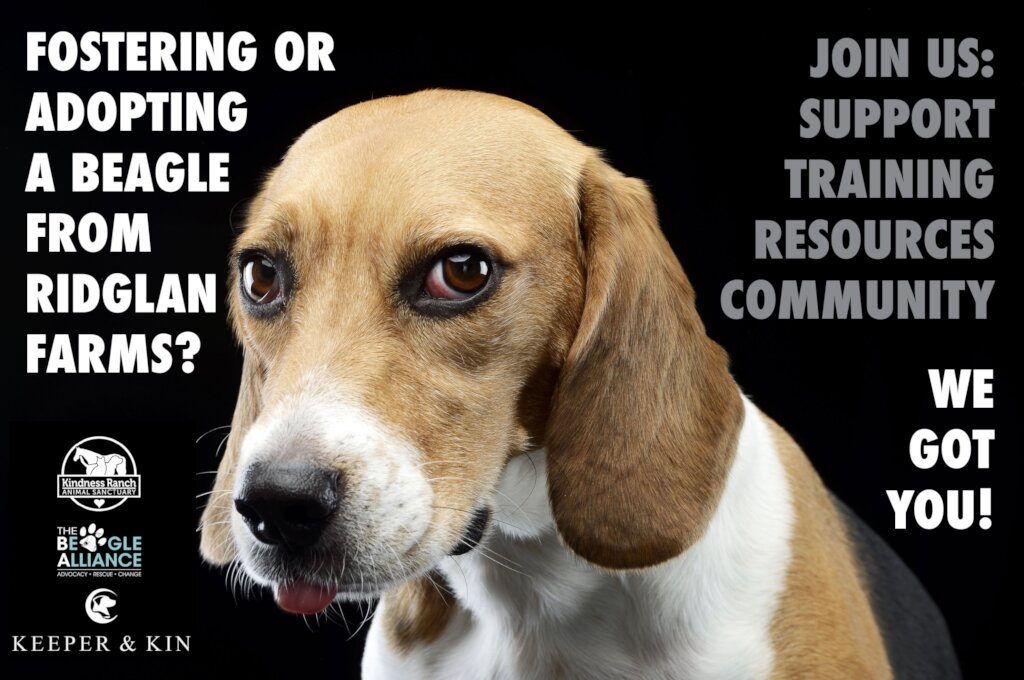 Support for Ridglan Dogs
