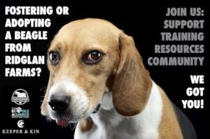 Support for Ridglan Dogs