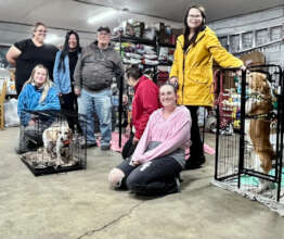 Team in Calgary, Alberta, Canada